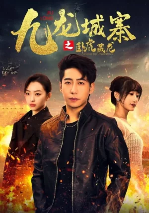 九龙城寨之卧虎藏龙海报