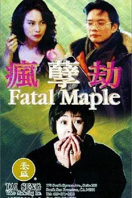 疯劫孽瘋劫孽海报