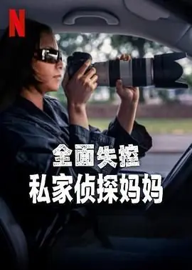 全面失控:私家侦探妈妈海报