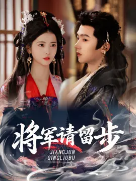 将军请留步海报
