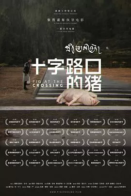 十字路口的猪[电影解说]海报