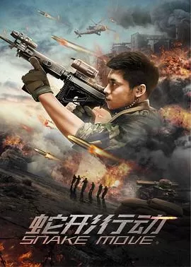 蛇形行动[影视解说]海报