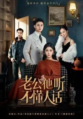 老公他听不懂人话海报