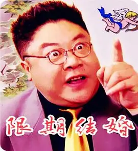 限期结婚海报
