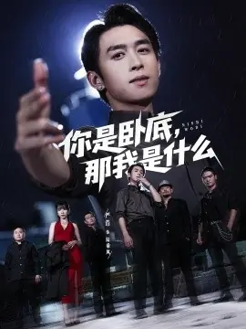 你是卧底那我是什么海报