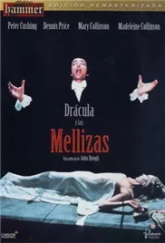 魔鬼双胞胎海报