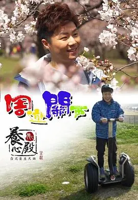 周游关西(粤语)海报