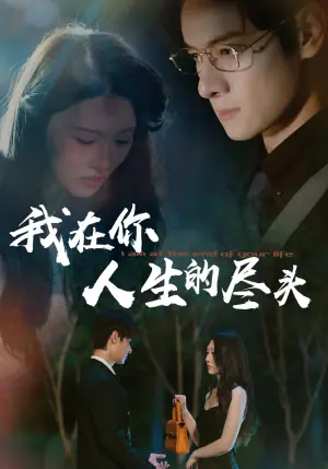 我在你人生的尽头海报