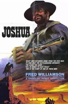 荒野黑煞星海报