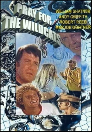 谍海逃亡记海报