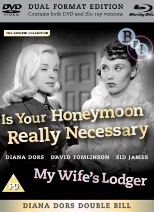 我妻子的房客海报