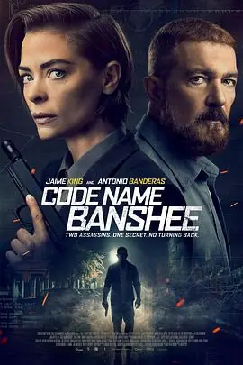 报丧女妖CodeNameBanshee海报