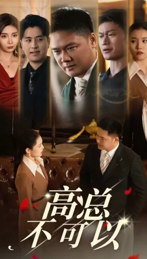高总不可以海报