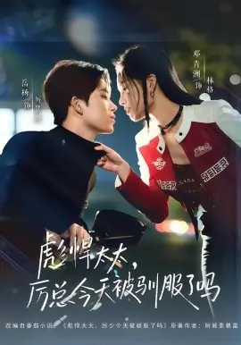 彪悍太太,厉总今天被驯服了吗海报