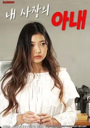 我老板的妻子海报