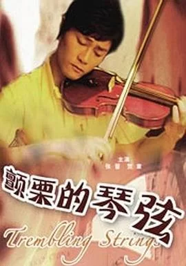 颤栗的琴弦海报