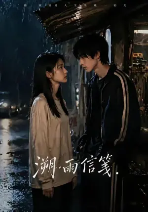 溯雨信笺海报