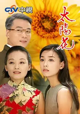 太阳花海报