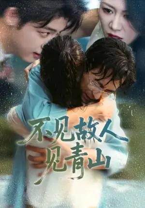 不见故人见青山心约难守,余生不渡海报