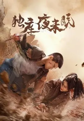 独库夜未眠海报