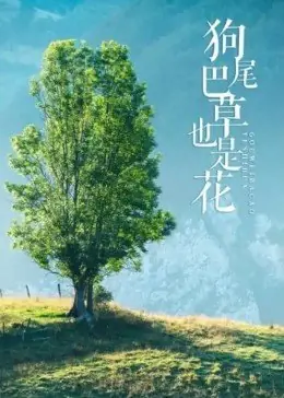 狗尾巴草也是花海报
