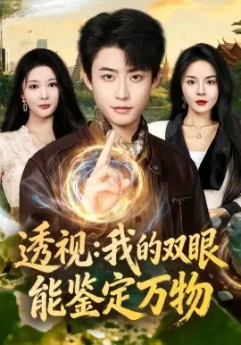 透视:我的双眼能鉴定万物海报