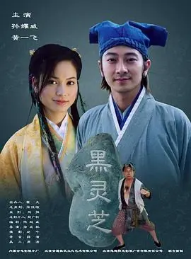 黑灵芝海报