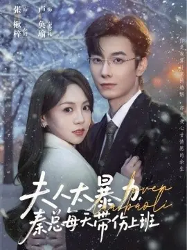 夫人太暴力,秦总每天带伤上班海报