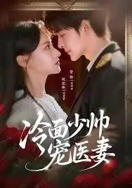 冷面少帅宠医妻海报