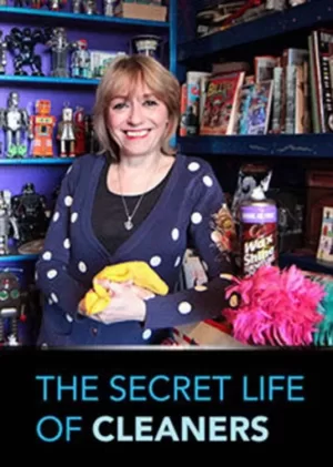 清洁工的秘密生活海报