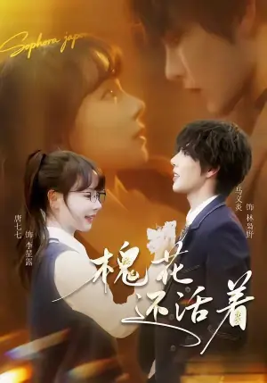 槐花还活着海报