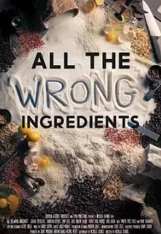 所有错误的成分海报