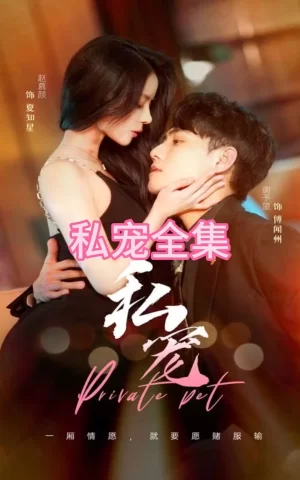 私宠海报