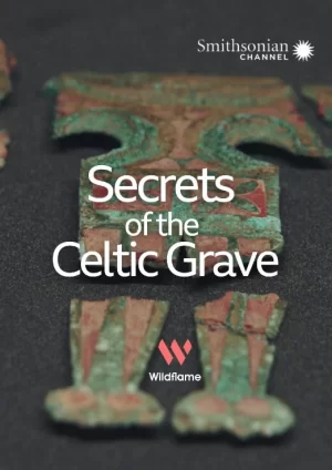 凯尔特人坟墓的秘密海报