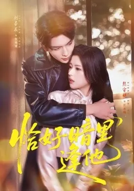 恰好暗里逢他海报