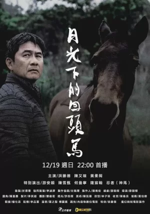 月光下的回头马海报