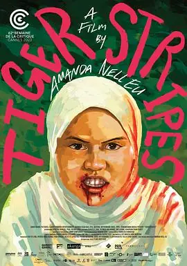 虎纹少女[电影解说]海报