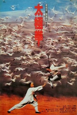 功夫小子闯情关[电影解说]海报