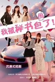 我被秘书包围了海报