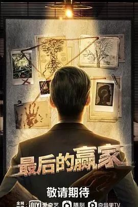 最后的赢家海报