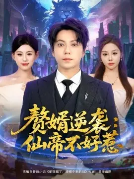 赘婿逆袭:仙帝不好惹海报