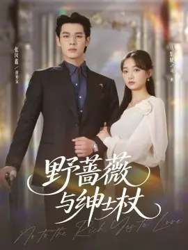 野蔷薇与绅士杖海报