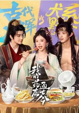 我的药店通古今海报