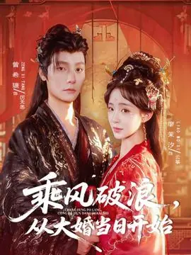 乘风破浪,从大婚当日开始海报