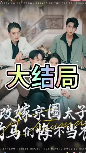改嫁京圈太子竹马们悔不当初海报