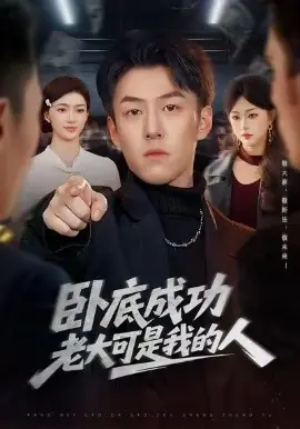 卧底成功老大可是我的人海报
