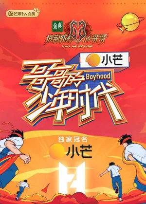 哥哥的少年时代(课间版)海报