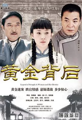 黄金背后[电影解说]海报
