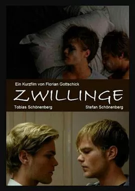 双胞胎[电影解说]海报