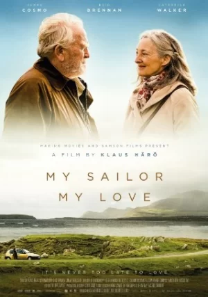 我的水手,我的爱海报